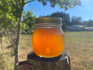 Raw Beaverton Spring Dark Honey 13oz