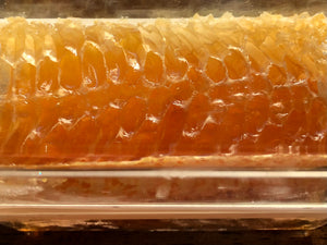 Thick Raw Honeycomb